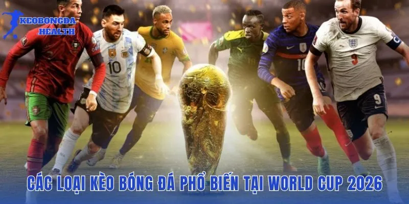 Bảng so sánh và giới thiệu các loại kèo bóng đá phổ biến nhất tại kỳ World Cup 2026
